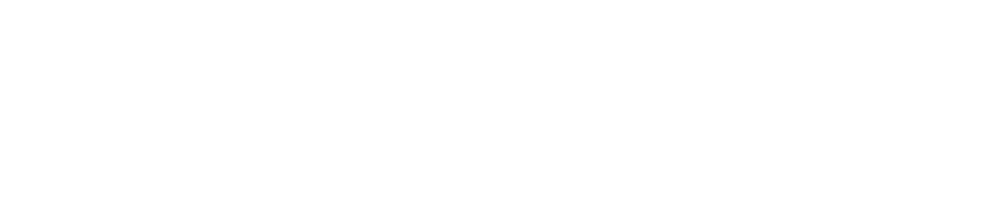 BF///MS